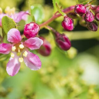 71XKB4AiwTL._AC_SL1500_