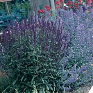 db699e4a6d041b2de1f3445b2daa2c33