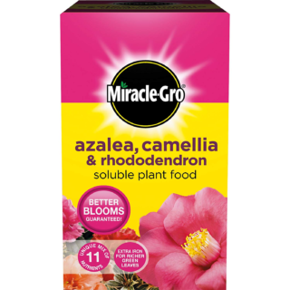 MIRACLE GRO AZALEA CAMELLIA & RHODODENDRON SOLUBLE PLANT FOOD 500G